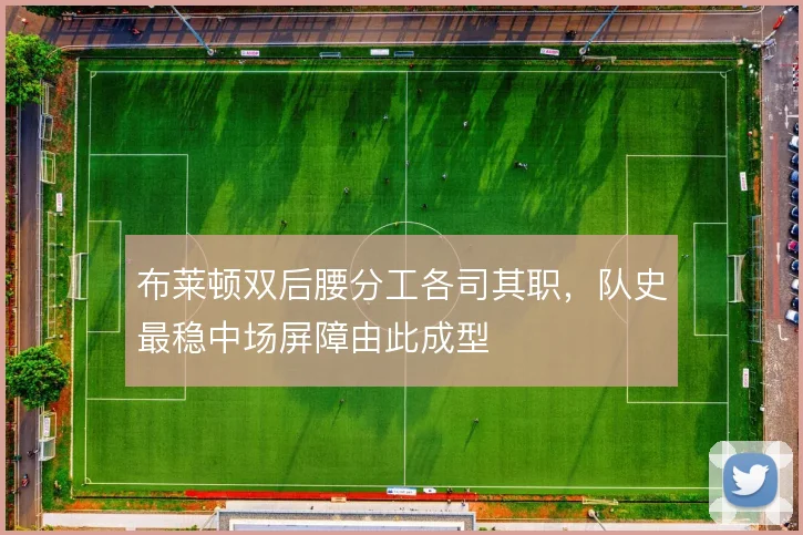 布莱顿双后腰分工各司其职,队史最稳中场屏障由此成型